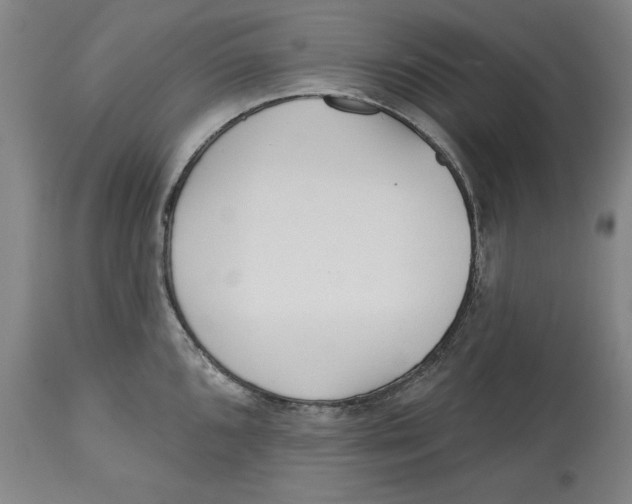 X0000113131096200910021410