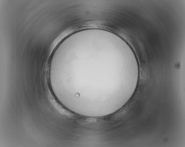 X0000113131098200910021410