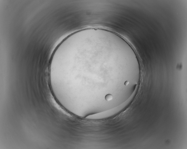 X0000113131100200910021410