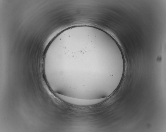 X0000113131101200910021410