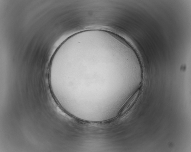 X0000113131102200910021410