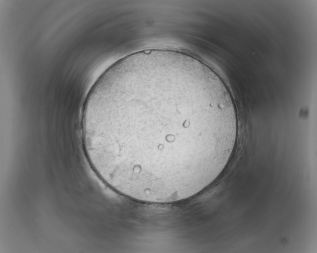 X0000113131103200910021410