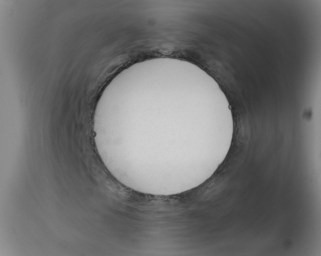 X0000113131105200910021409