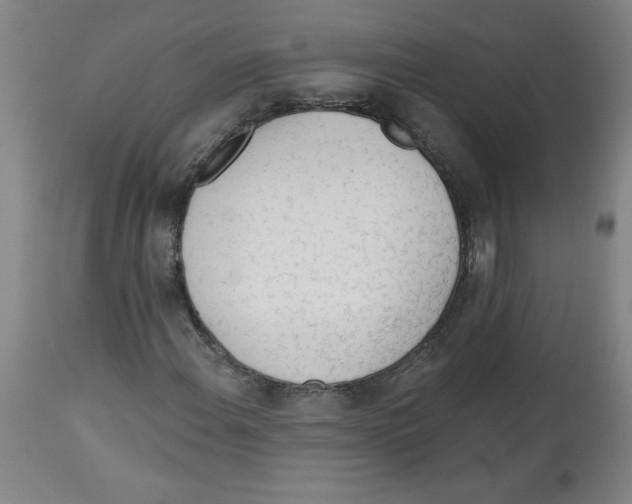 X0000113131108200910021409