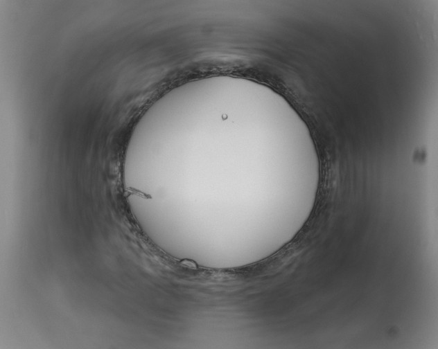 X0000113131109200910021409