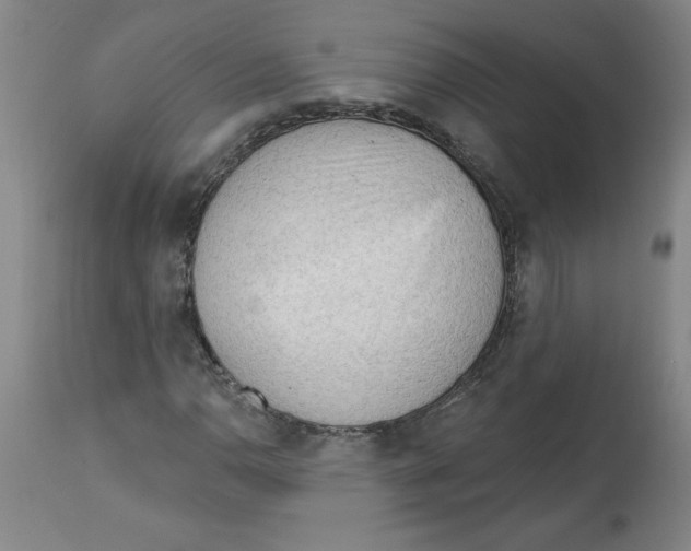 X0000113131110200910021409