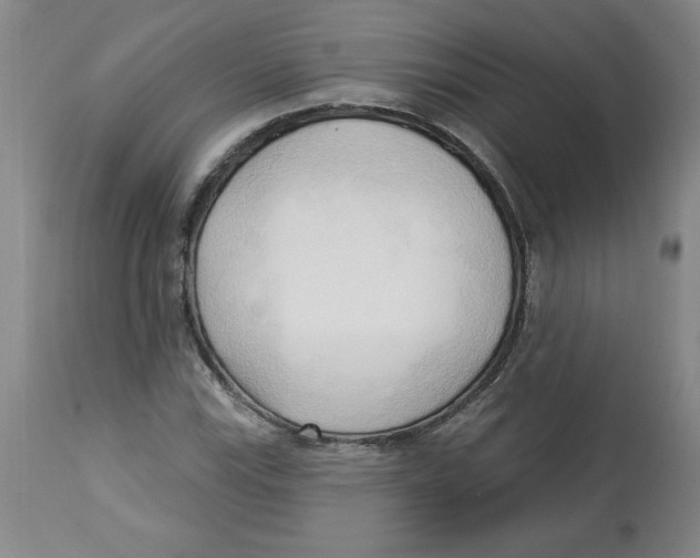 X0000113131115200910021409