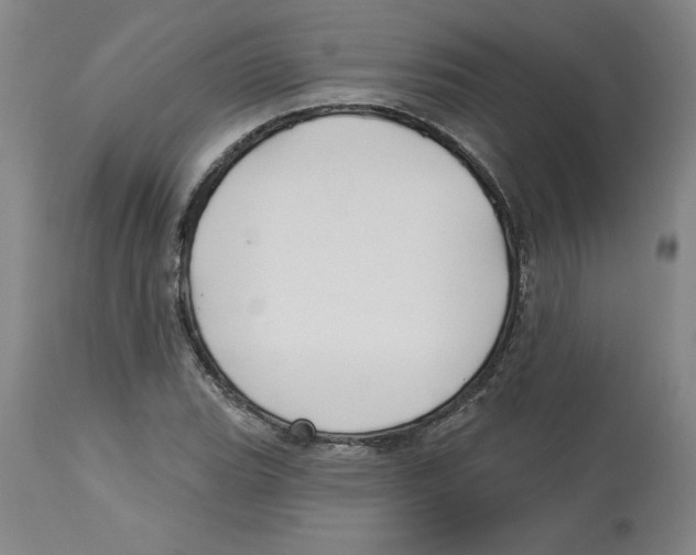 X0000113131119200910021409