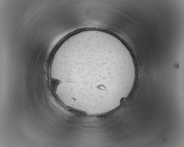 X0000113131120200910021409