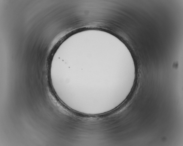 X0000113131122200910021409