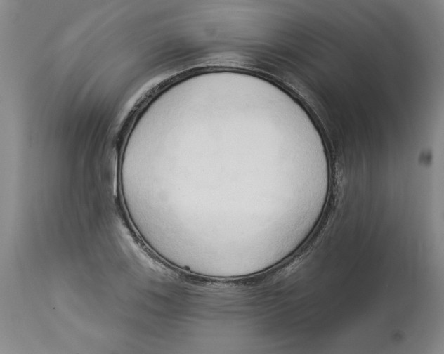 X0000113131123200910021409