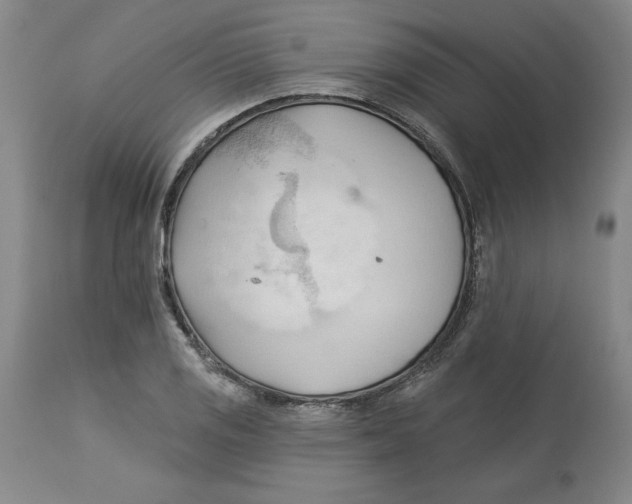 X0000113131125200910021409