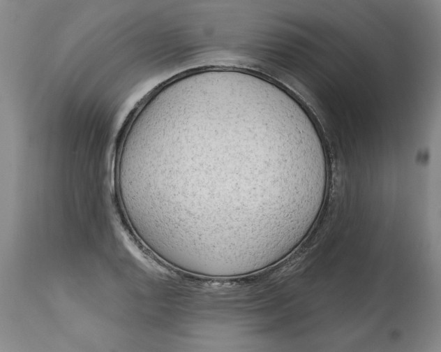 X0000113131128200910021409