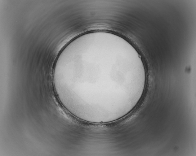 X0000113131129200910021409