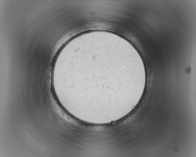 X0000113131130200910021409