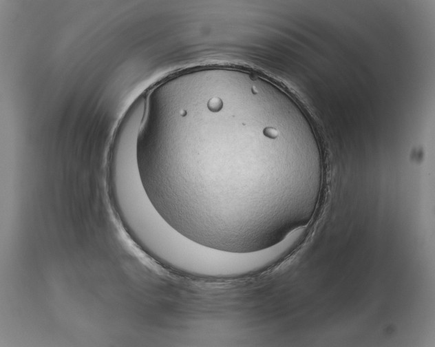 X0000113131134200910021409