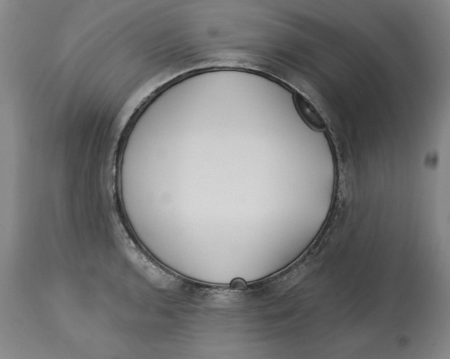 X0000113131136200910021409