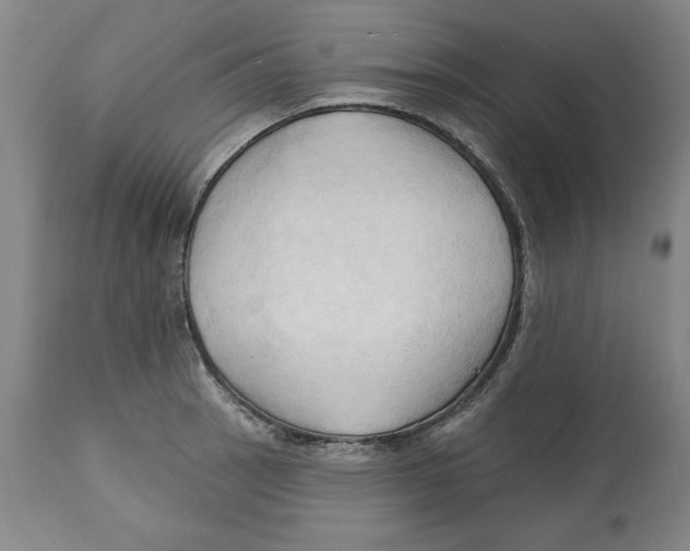 X0000113131137200910021410