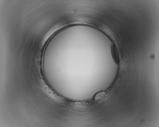 X0000113131138200910021410