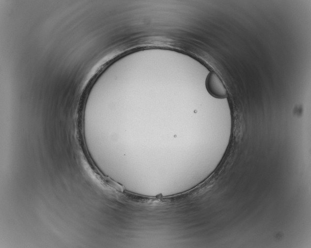 X0000113131139200910021410