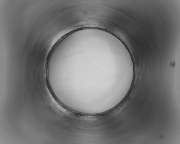 X0000113131141200910021410