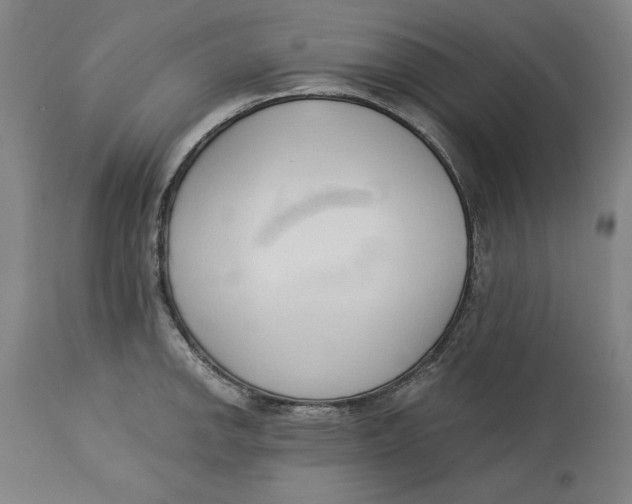 X0000113131142200910021410