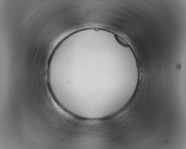 X0000113131143200910021410