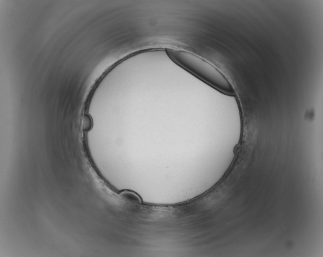 X0000113131144200910021410