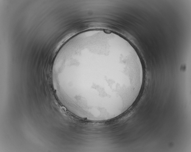 X0000113131145200910021410