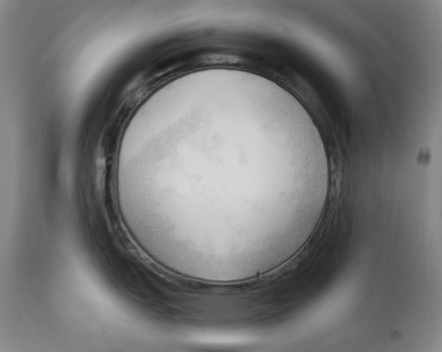 X0000113131151200910021410