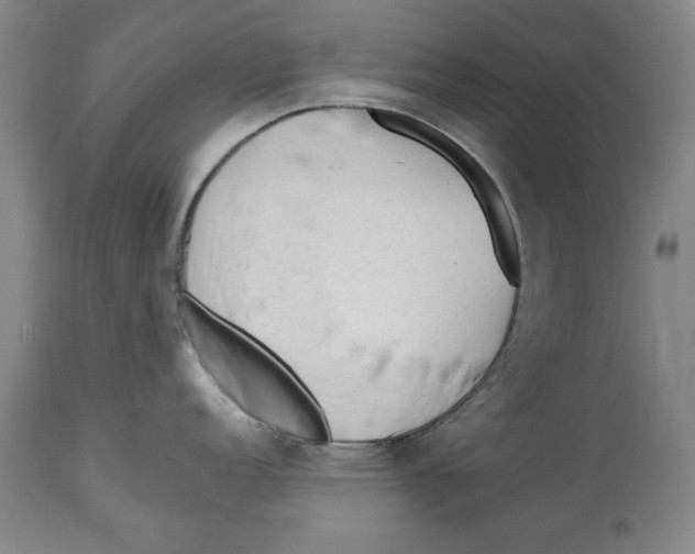 X0000113131152200910021410