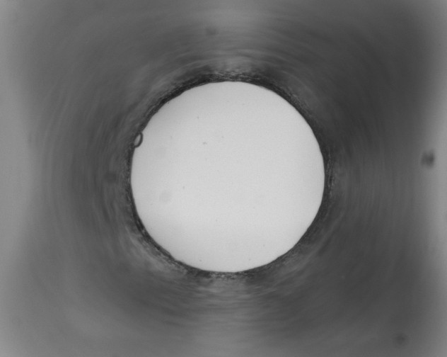 X0000113131153200910021409