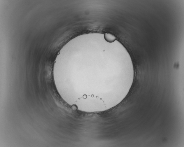 X0000113131154200910021409