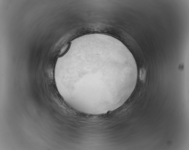 X0000113131155200910021409