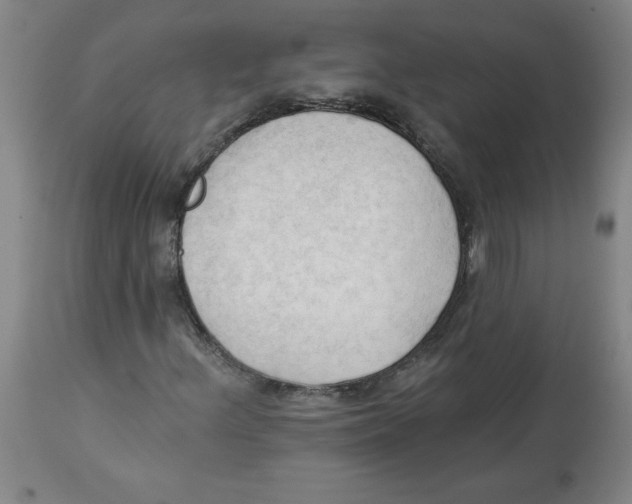 X0000113131156200910021409