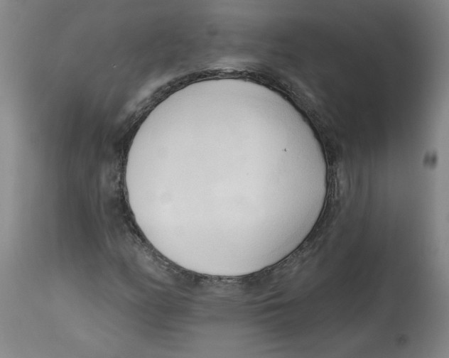 X0000113131158200910021409