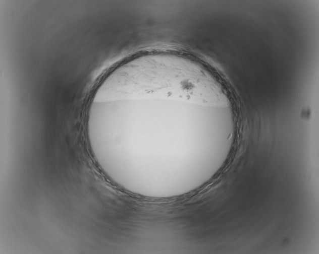 X0000113131160200910021409