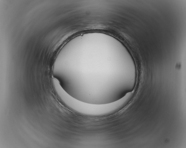 X0000113131161200910021409