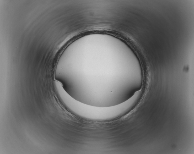 X0000113131162200910021409