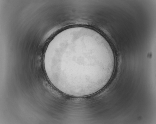 X0000113131163200910021409