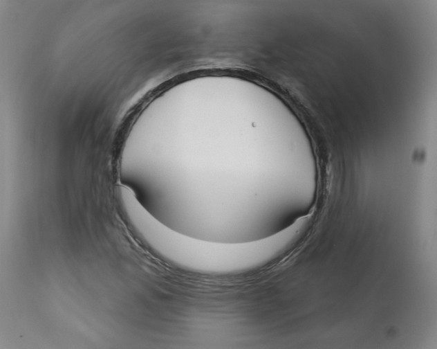 X0000113131165200910021409