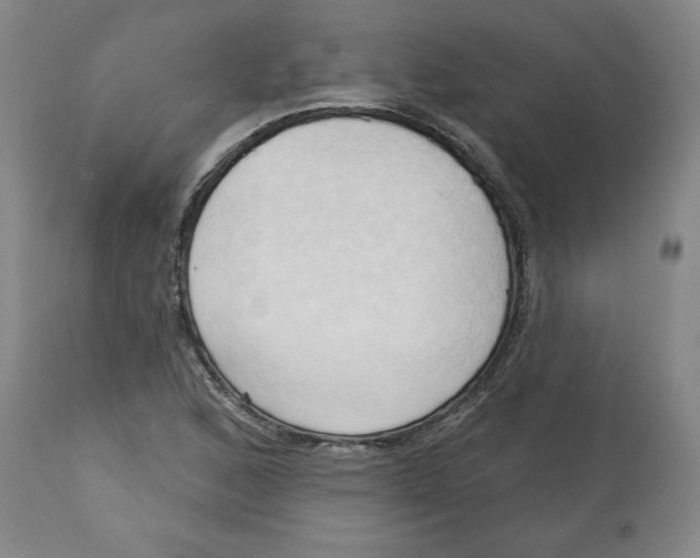 X0000113131168200910021409