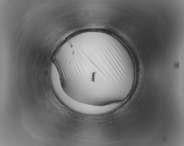 X0000113131169200910021409