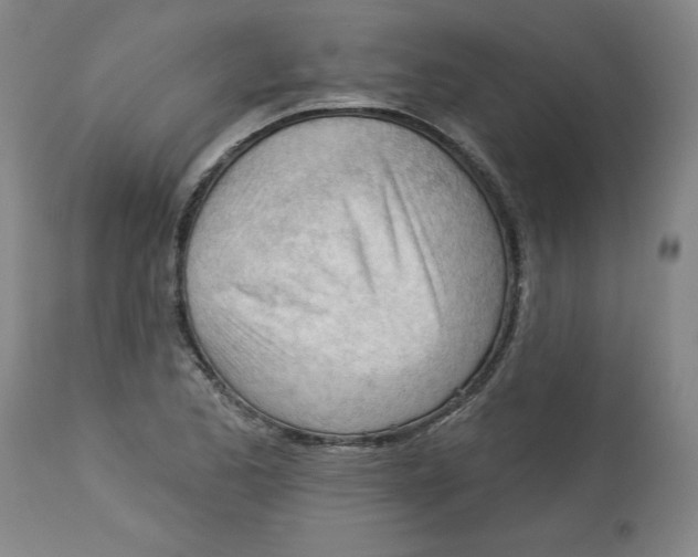 X0000113131173200910021409