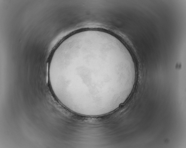 X0000113131175200910021409