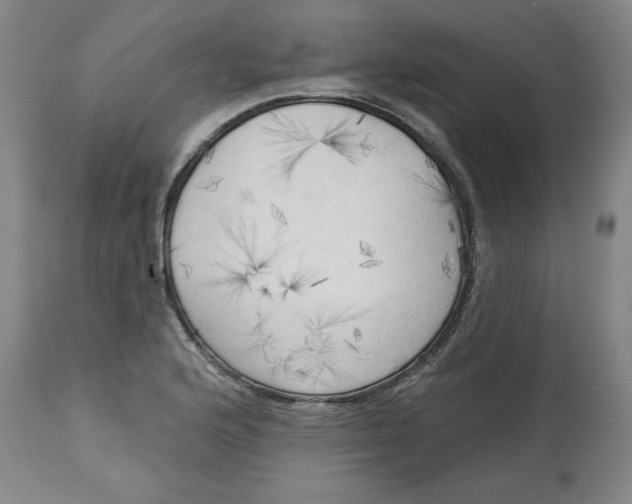 X0000113131176200910021409
