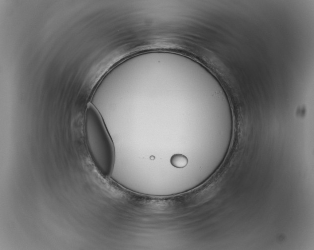 X0000113131177200910021409