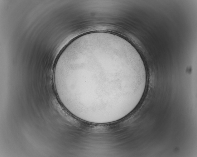 X0000113131178200910021409