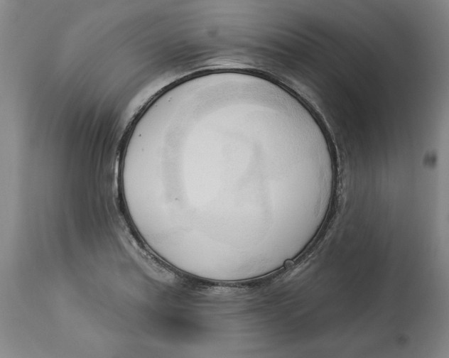 X0000113131179200910021409