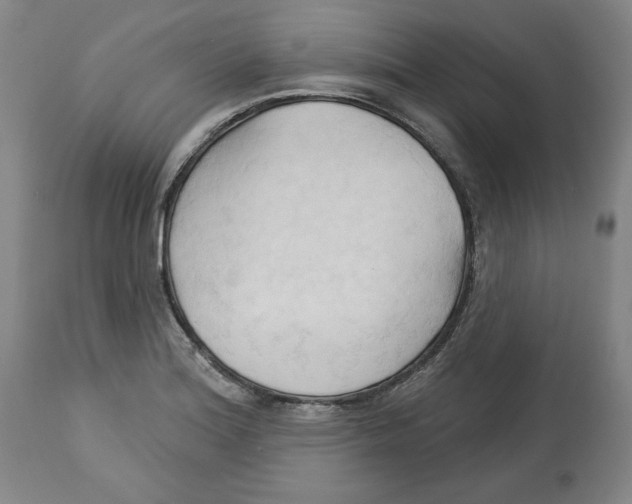 X0000113131180200910021409